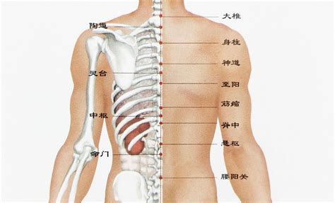 背 痣|背部有痣图解大全 背部有痣的人看命运